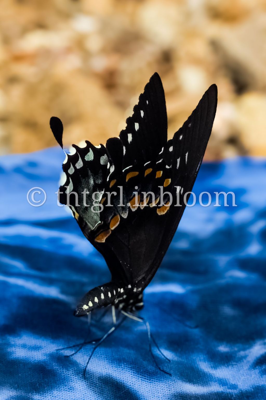 you are the quiet kind of&nbsp;beautiful