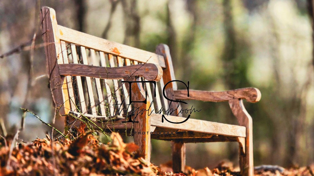 when the quiet asks louder than the&nbsp;noise