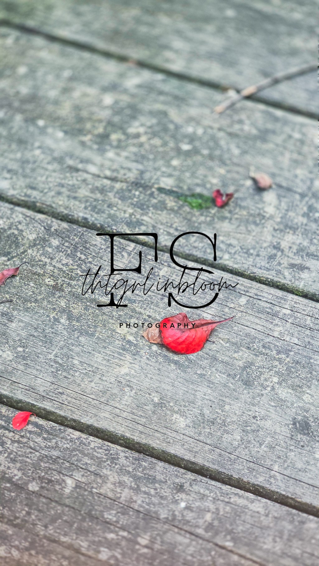 when the room held its&nbsp;breath