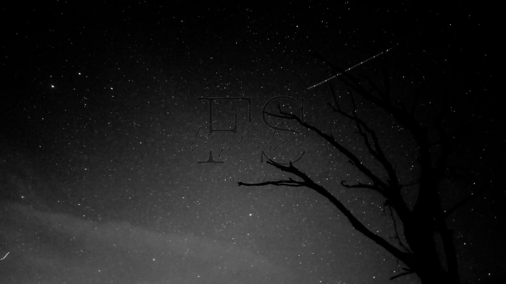 bixby, build a&nbsp;man