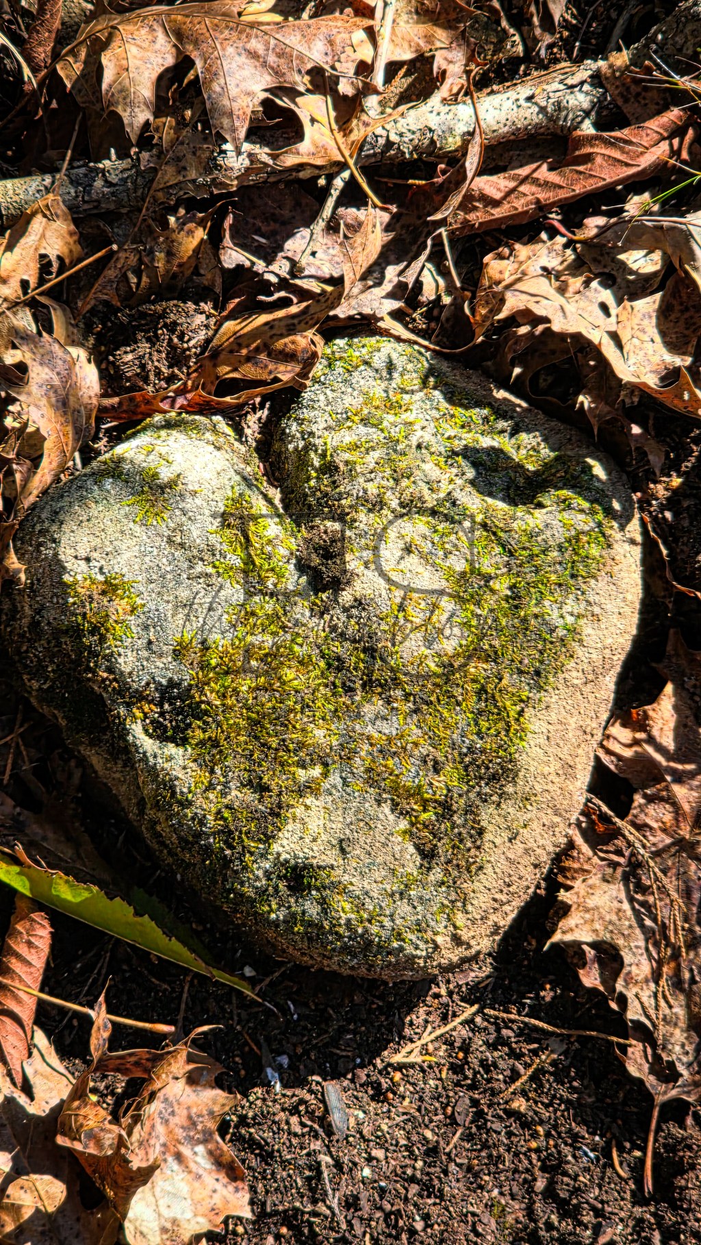 how would your ex paint&nbsp;you?