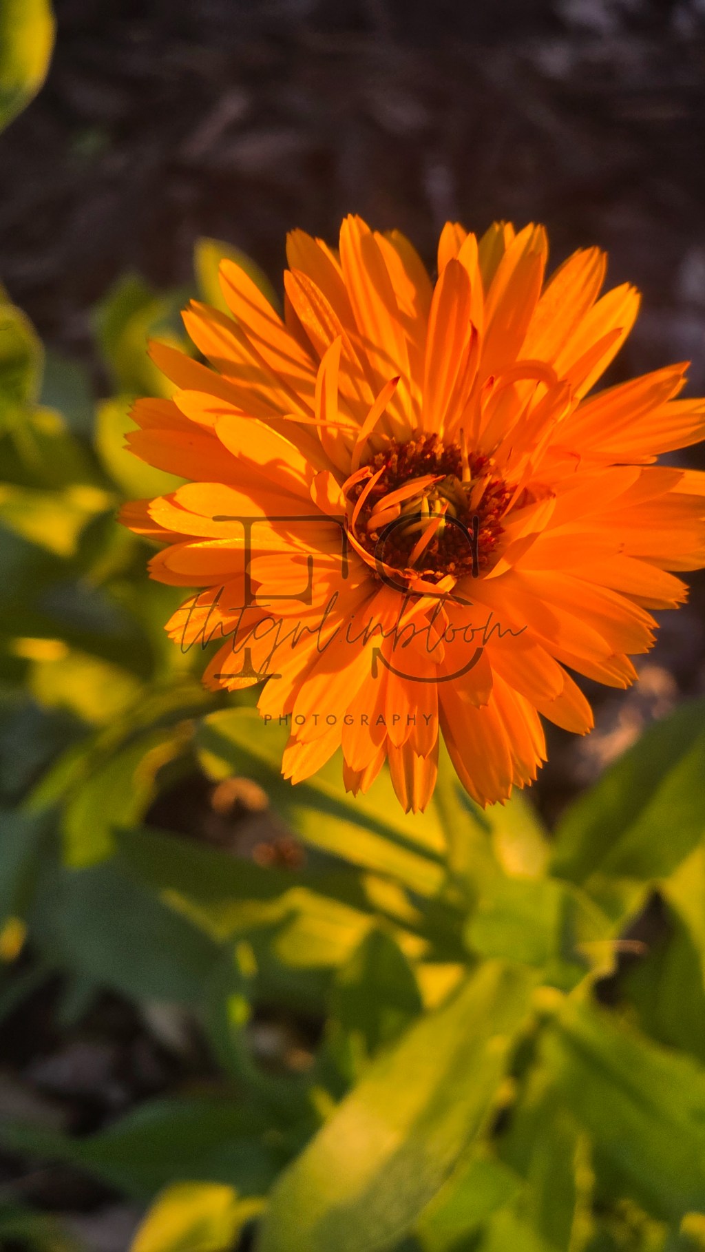 when healing hurts: the truth about accidental&nbsp;addiction